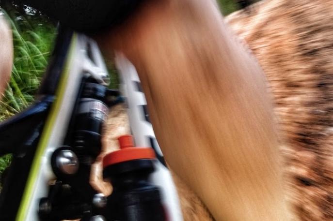 Governo Federal recua e imposto de importação de bicicletas terá redução de 10%, saindo de 35 para 31,5%